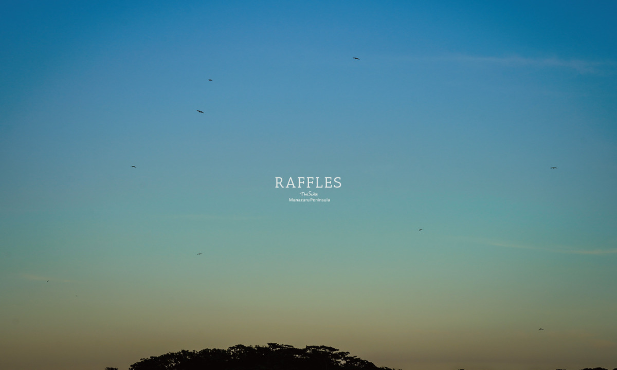 RAFFLES | Sold