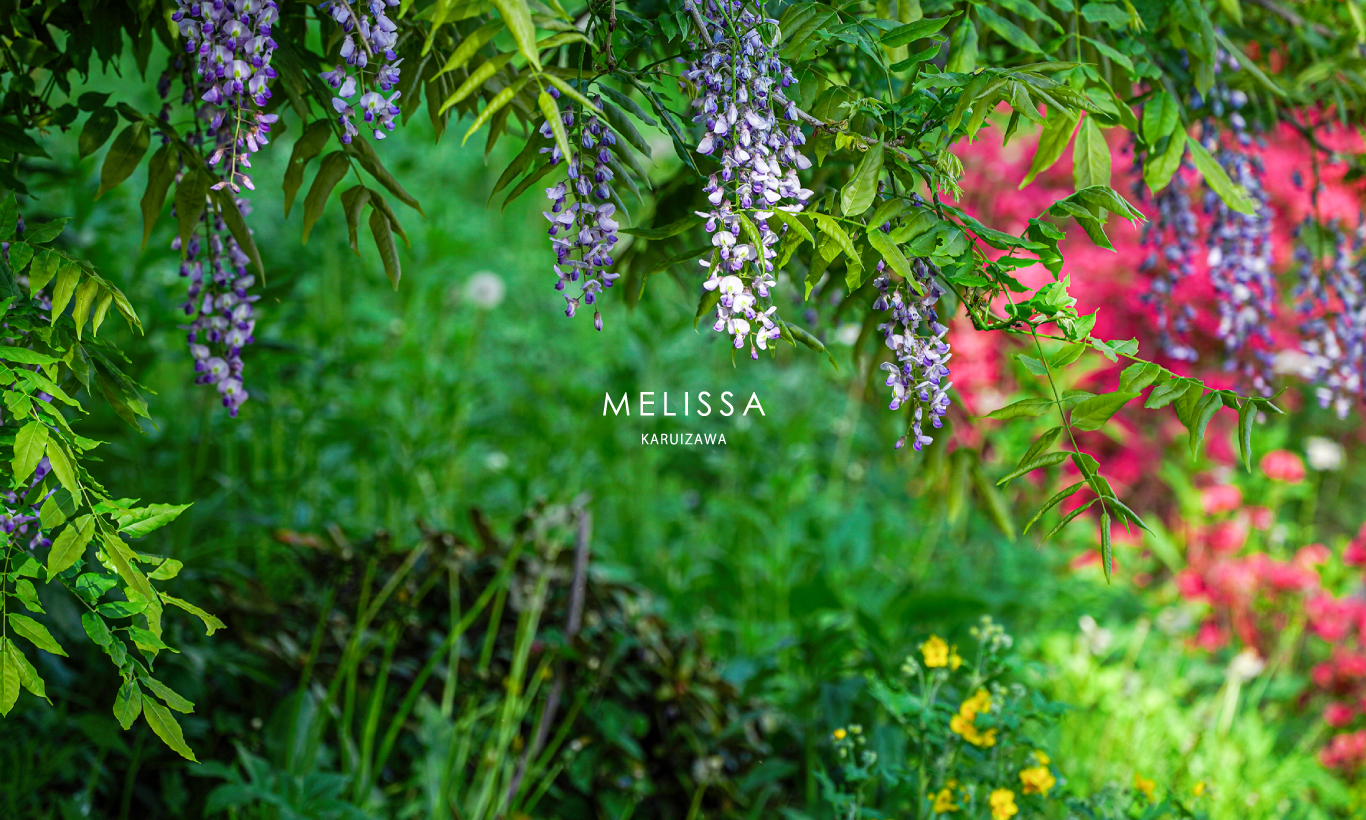 MELISSA