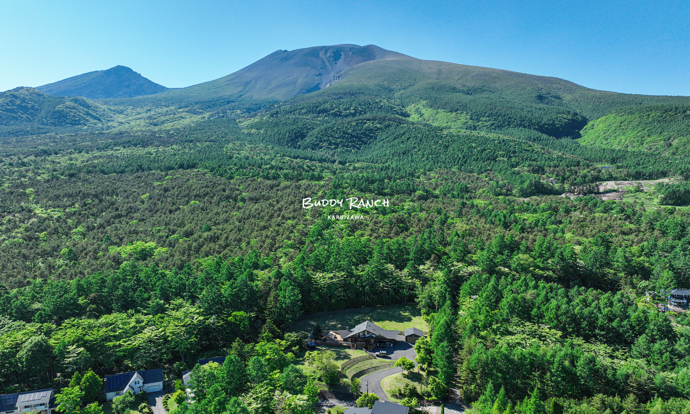 BUDDY RANCH【限定公開】