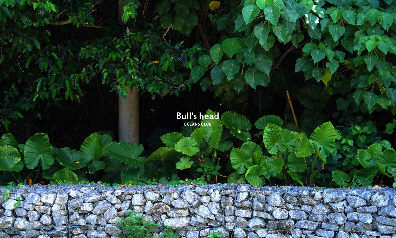 BULL’S HEAD