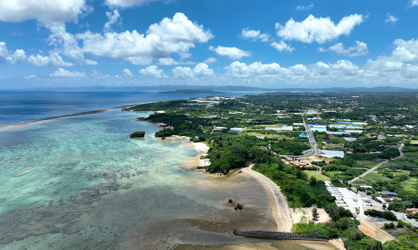 business trip to Okinawa “ June. 2025”