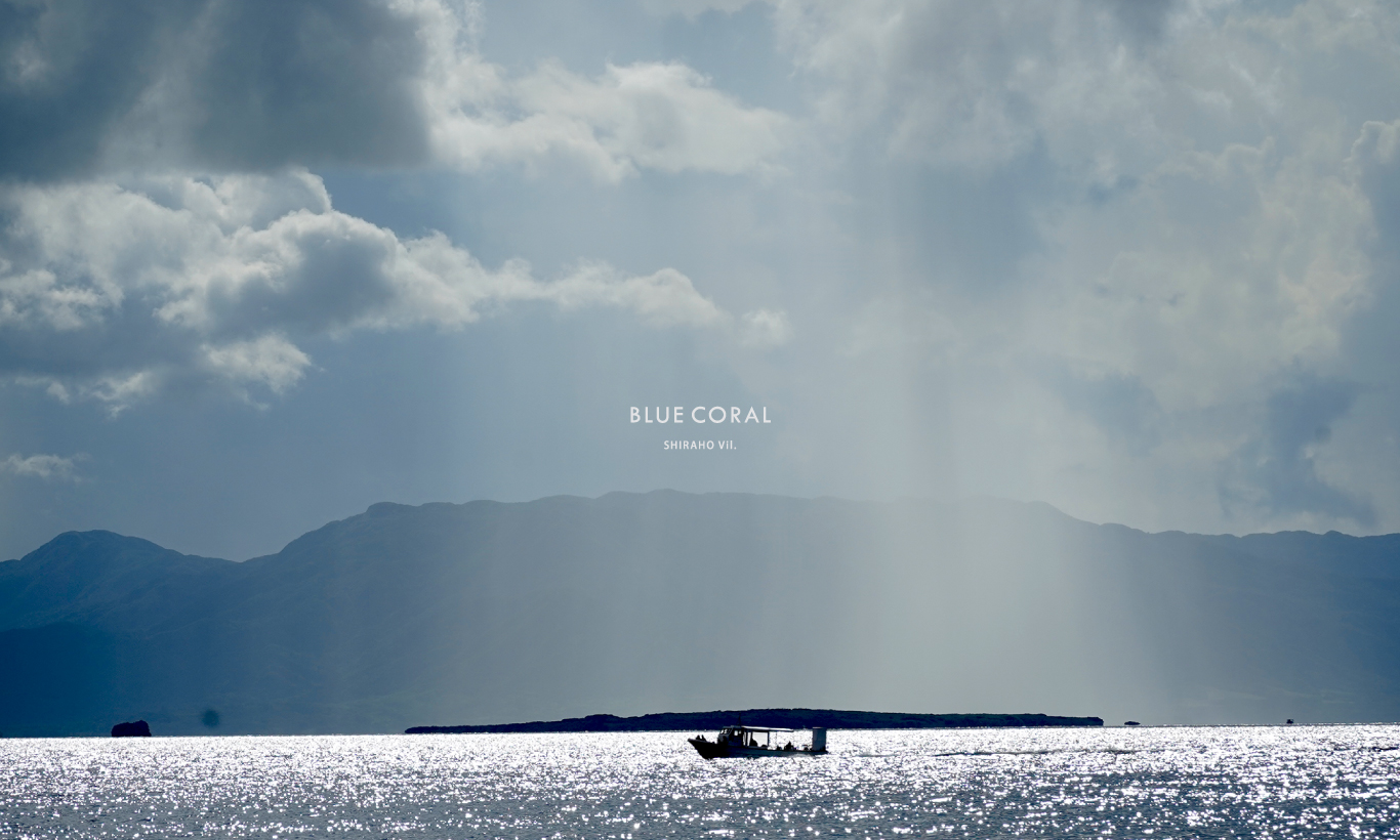 BLUE CORAL 石垣島