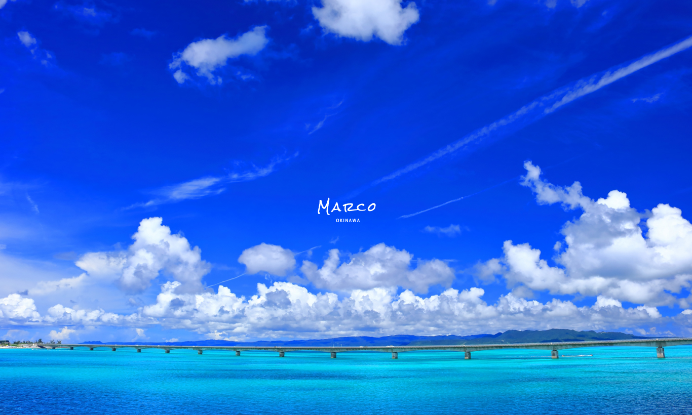 MARCO【限定公開】