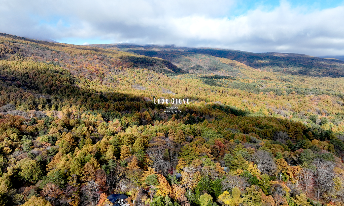 LUXE GROVE SITE #F｜sold out