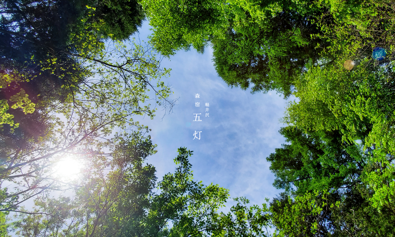 森宿 五灯｜sold