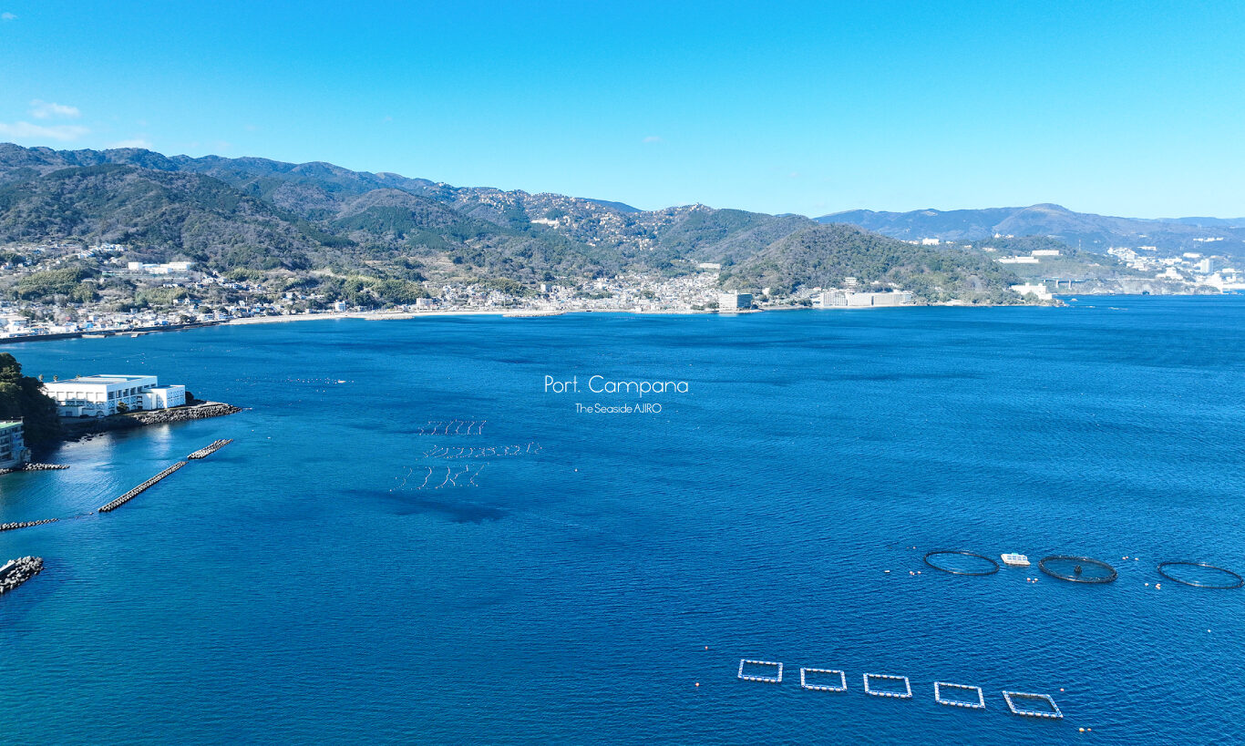 PORT. CAMPANA｜sold