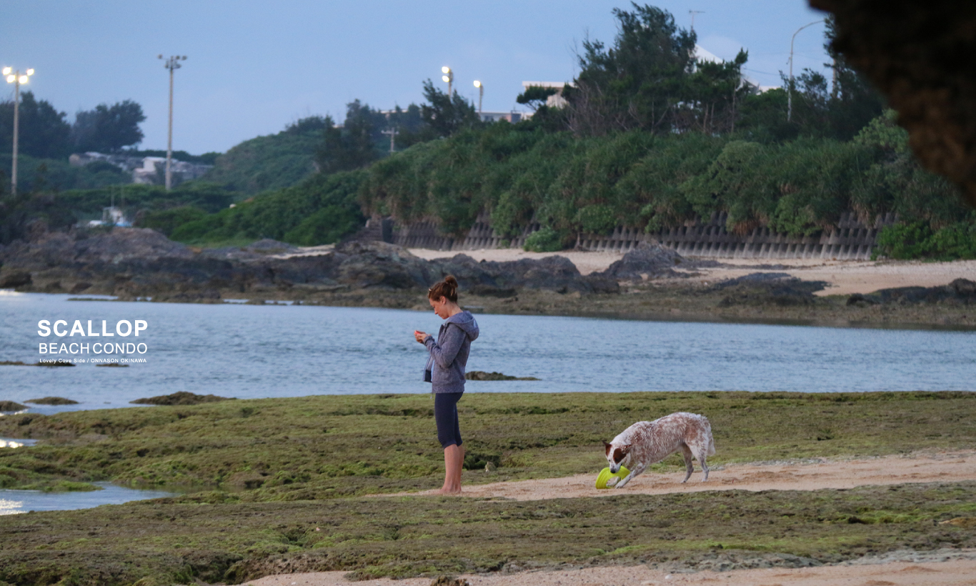 SCALLOP BEACH CONDO｜sold