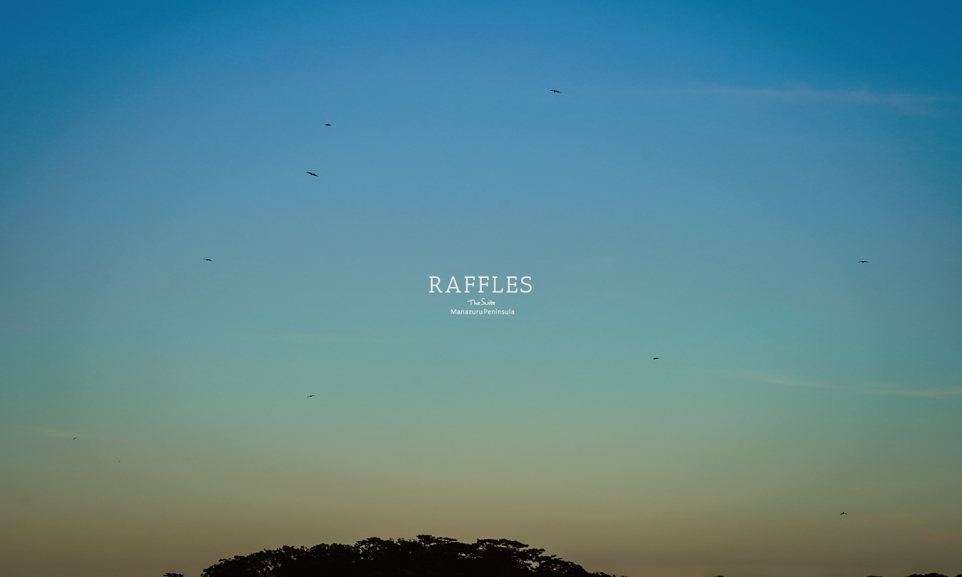 RAFFLES｜sold