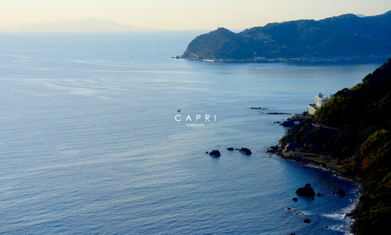 CAPRI【近日公開】